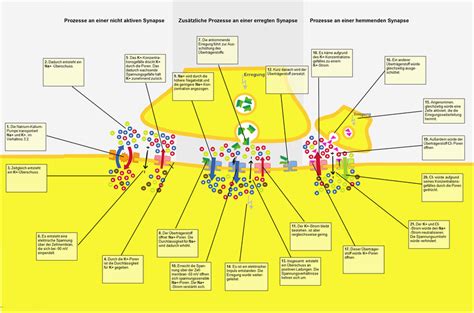 Integrated text-picture presentation with low spatial proximity in ... 