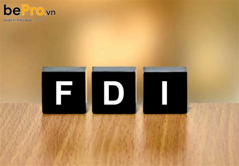 Doanh nghiệp FDI là gì vai trò và đặc điểm của FPI