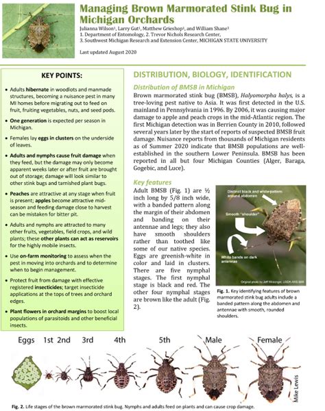 Managing Brown Marmorated Stink Bug in Michigan Orchards - Fruit & Nuts