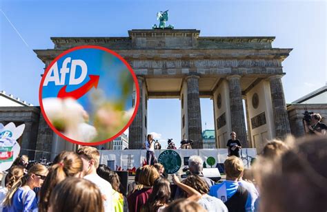 Demos In Berlin Fridays For Future Protestiert Gegen AfD Berlin Live De