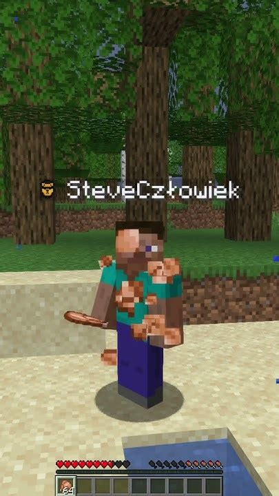 Steve Z Minecraft Nie Jest Normalny Youtube