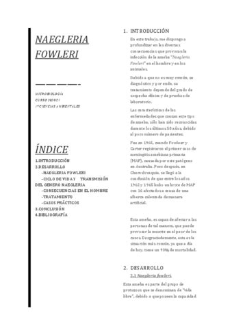 Trabajo Voluntario Pdf