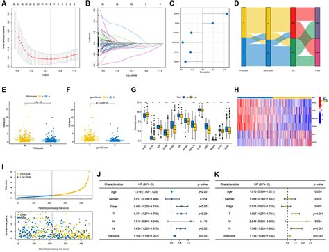 Development And Validation Of A Novel T Cell Proliferation Related