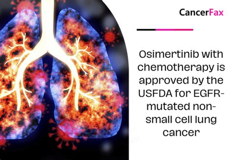 Combining Osimertinib With Chemotherapy For Egfr Mutated Nsclc Usfda