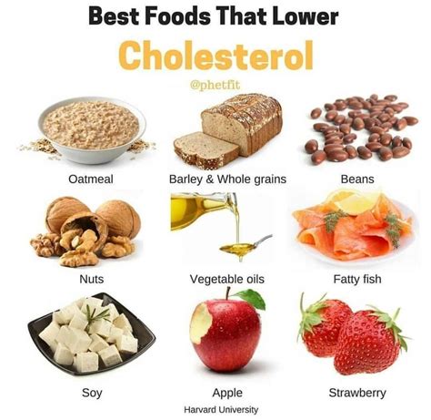 cholesterol memberfeeling