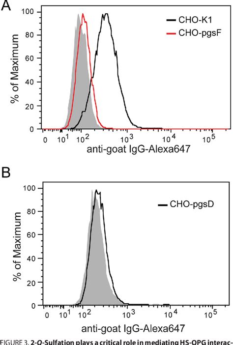 Figure From Heparan Sulfate Regulates The Structure And Function Of