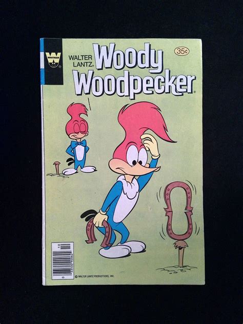 Woody Woodpecker 171 Whitman Comics 1978 FN VF Newsstand Comic Books