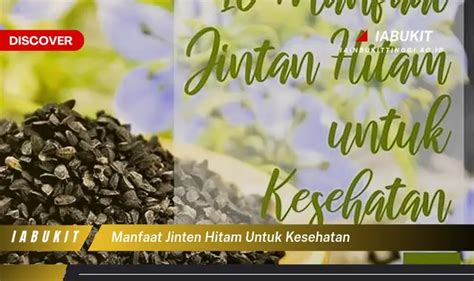 Ketahui 7 Manfaat Jinten Hitam Untuk Kesehatan Bikin Kamu Penasaran