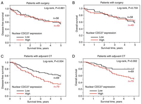 Prognostic And Clinical Significance Of Subcellular Cdc For Patients