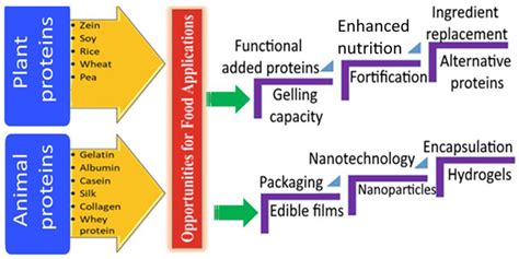 Gels Free Full Text A Comprehensive Review Of Food Hydrogels