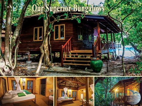 Boulder Bay Eco Resort Mergui Archipelago Life Seeing Tours