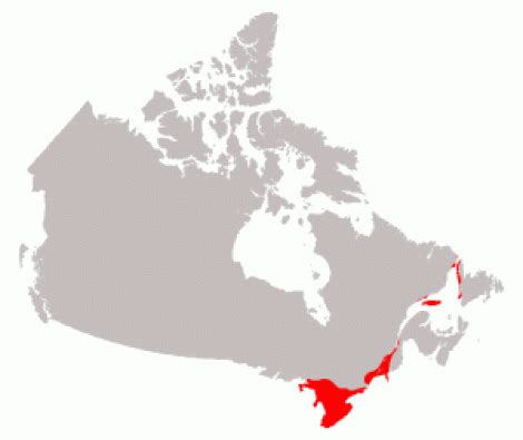 Great Lakes - St. Lawrence Lowlands - Canadian Landform Region's