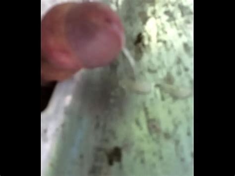 Public Fucking A Road Safety Rail XVIDEOS