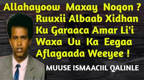 Muuse Ismaaciil Qalinle Heesta Alahayow Maxay Noqon Hees Maxay Noqon