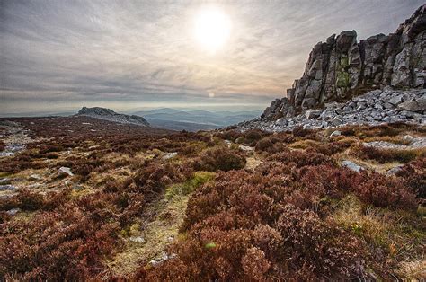 Stiperstones National Nature Reserve Photograph by Bob Kemp - Fine Art ...