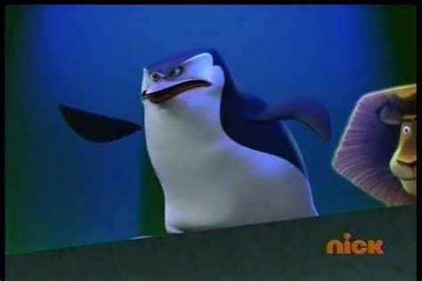 Skipper Skipper The Penguins Of Madagascar Photo 31445331 Fanpop