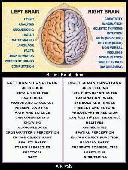 Brain functions – Artofit