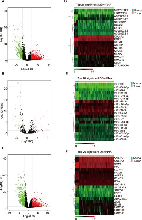 Volcano Plots And Heatmaps Show Delncrnas Demirnas And Demrnas A C