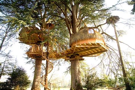 Cabanes Dans Les Arbres Et Insolites Les Ormes Domaine Resort