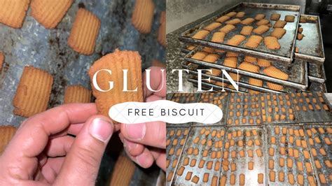 How To Make Gluten Free Soya Multigrain Healthy Desi Ghee Biscuits