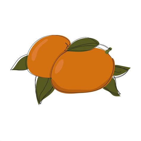 Premium Vector | Vector mango drawing of one continuous line color illustration of mango in the ...