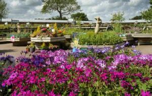 Visit Eastfield Garden Centre In Bridlington