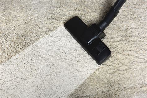 How To Remove Mold From Carpets And Rugs Persia Oriental Rug