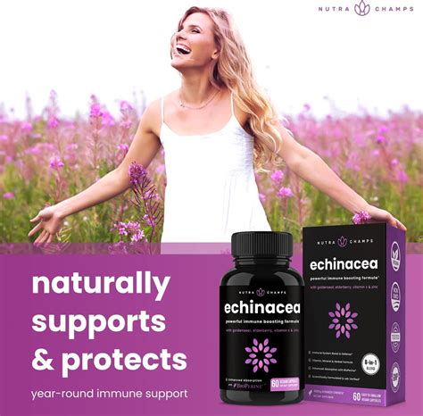 Echinacea Goldenseal 1000mg With Elderberry Vitamin C Zinc And Ginger Immune Boost Vegan