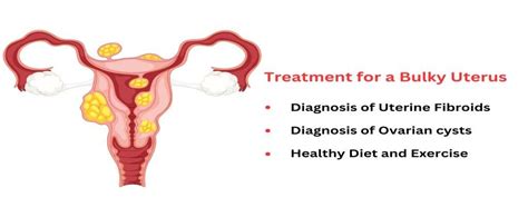 Bulky Uterus Causes Symptoms And Treatment Imprimis Ivf