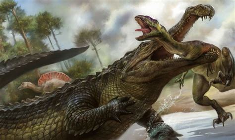 All About The Sarcosuchus Prehistoric And Extinct Crocodile Cool Facts