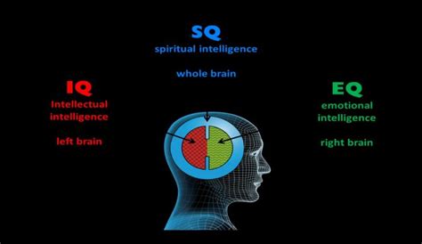 The Position Of Iq Sq And Eq Download Scientific Diagram