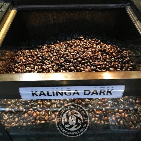 Kalinga Arabica Beans Ground Premium Quality Coffee Beans Ph Home