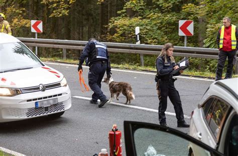 Unfall Mit Lkw Zwei Schwerverletzte Und Ein Toter Hund Ilmenau