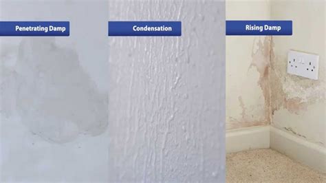 How To Get Rid Of Damp In House Walls Psoriasisguru