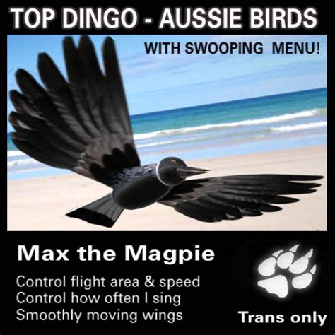 Second Life Marketplace Flying Birds Max Magpie