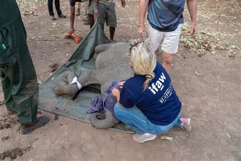 Wie Viele L Nder Gibt Es In Afrika Finden Sie Es Heraus