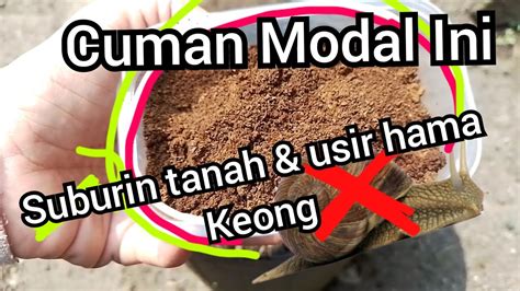 Cara Mengolah Ampas Kopi Sbg Cara Mudah Cegah Hama Siput Pada Tanaman