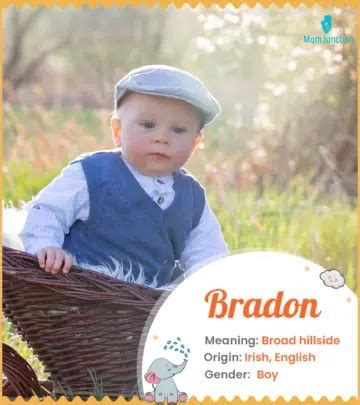 Origin Meaning Other Facts About Baby Name Braydan