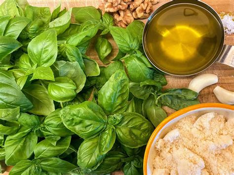 No Fuss Basil Walnut Pesto Recipe For Busy Moms Mom In Italy