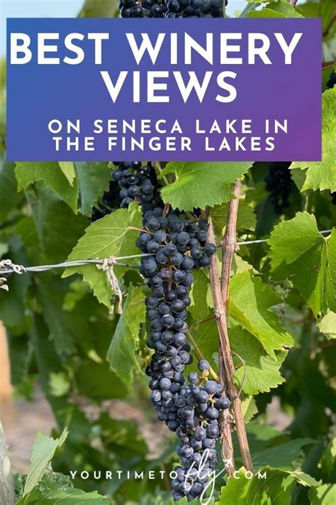 Finger Lakes Wine Tasting