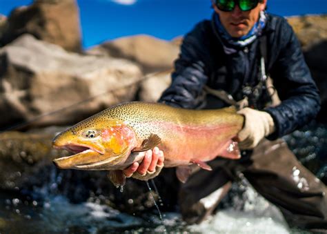 Fishing Adventures - Got Fishing