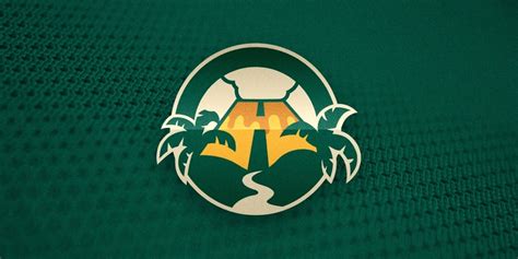 Hawaii Honu winning logo revealed! — icethetics.co