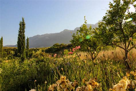 Things to Do in Tulbagh, Western Cape, South Africa