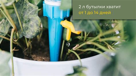 Капельный полив для растений автоматический купить по низкой цене - TV-MAG