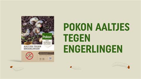 Pokon Aaltjes Tegen Engerlingen Youtube