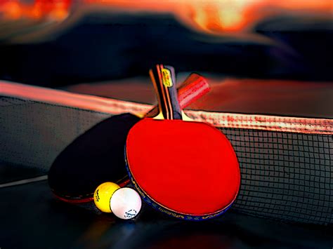 🔥 [70+] Table Tennis Wallpapers | WallpaperSafari