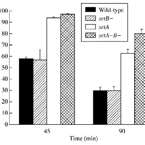 Effect Of Srta And Srtb Gene Expression On The Ability Of Strains To