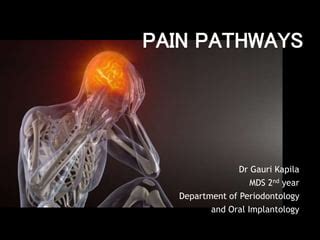 Pain pathways | PPT