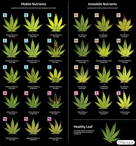 Deficiency Chart 420 Magazine