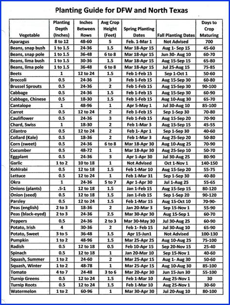 Vegetable Planting Guide For Dfw And North Texas Vegetable Planting